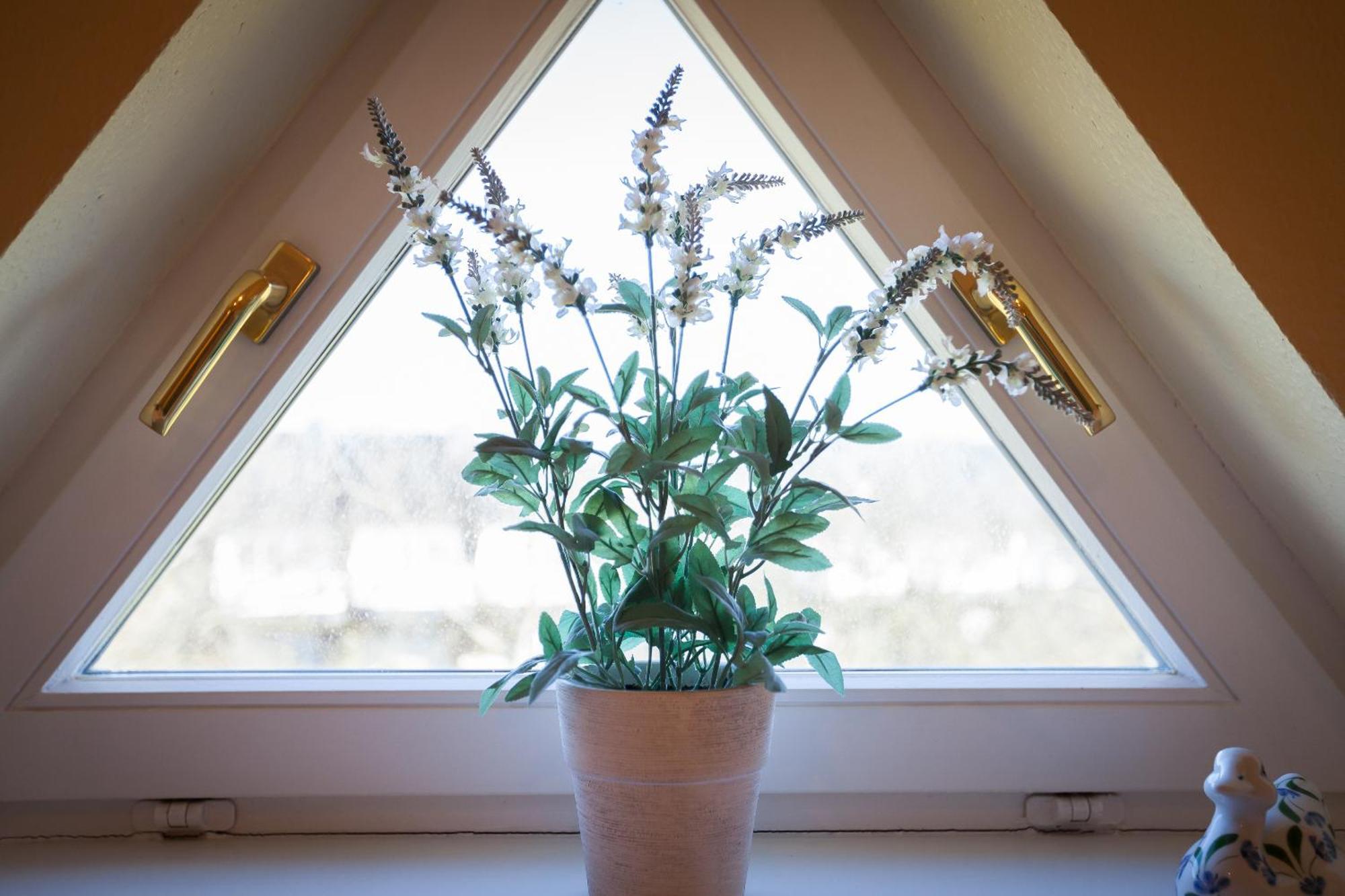 Ferienhaus Enen Neest App 3 *
